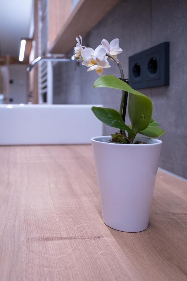 Apartment Haus Schoenwies Alpbach Kültér fotó